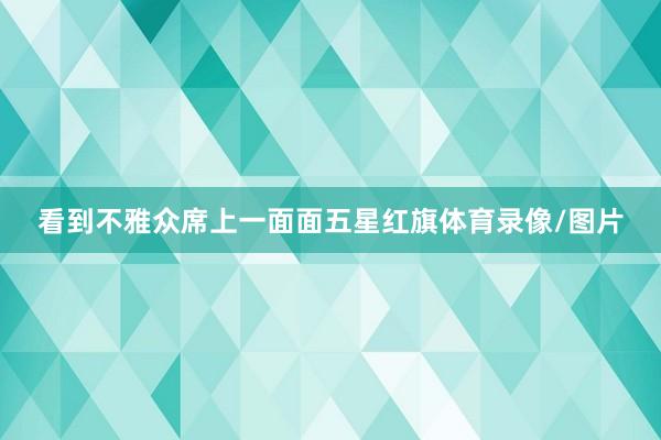 看到不雅众席上一面面五星红旗体育录像/图片