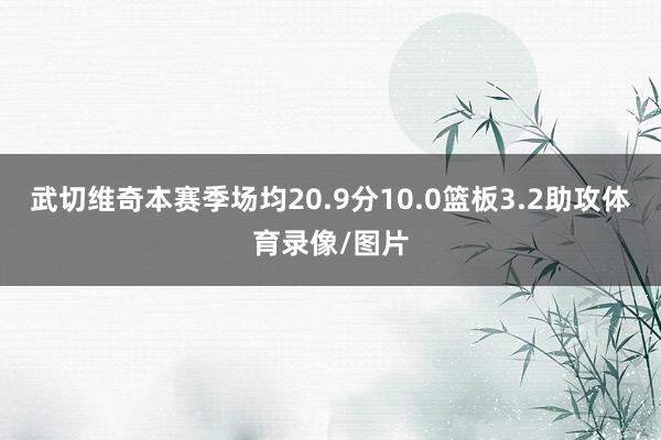 武切维奇本赛季场均20.9分10.0篮板3.2助攻体育录像/图片