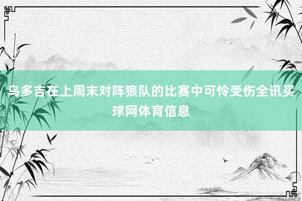 乌多吉在上周末对阵狼队的比赛中可怜受伤全讯买球网体育信息