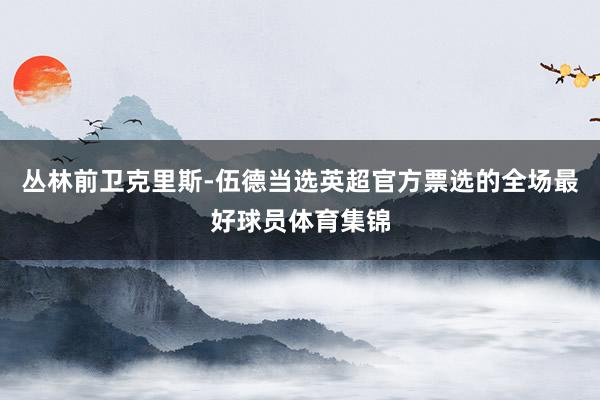 丛林前卫克里斯-伍德当选英超官方票选的全场最好球员体育集锦