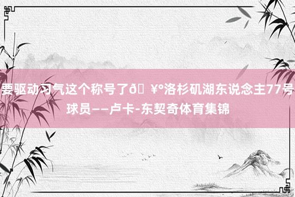 要驱动习气这个称号了🥰洛杉矶湖东说念主77号球员——卢卡-东契奇体育集锦